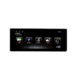 Radiowing-24-Car Stereo System (Music & Charging), AUX in, FM, Hands Free Calling & Remote Control